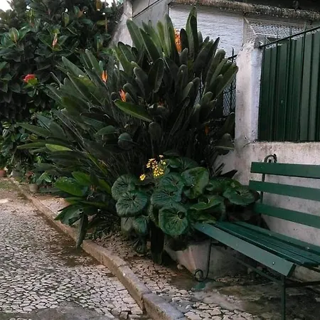Apartament Charming Loft In Intendente *