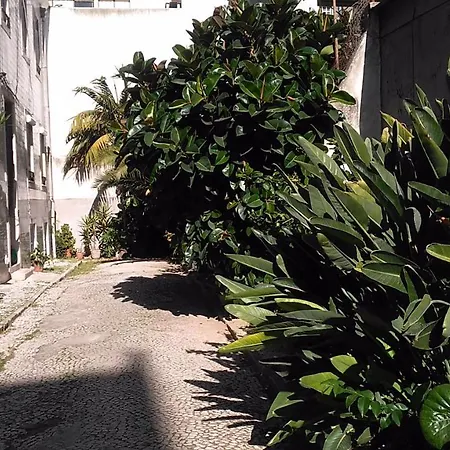 Διαμέρισμα Charming Loft In Intendente